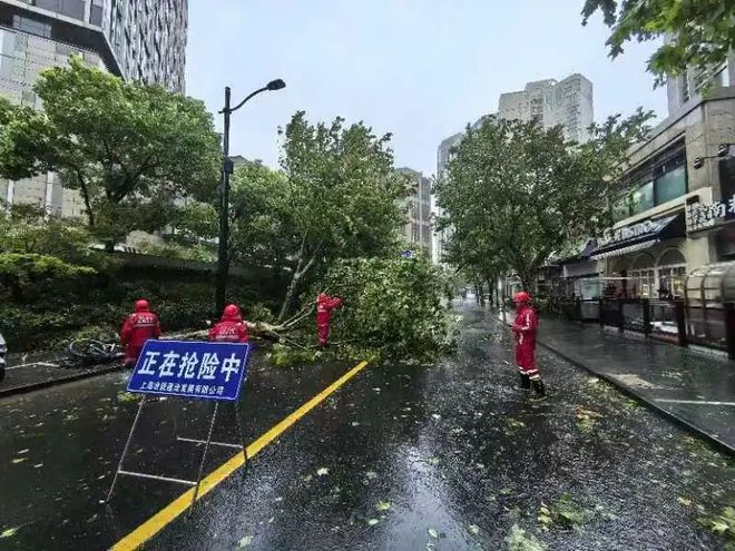 众志成城迎战“贝碧嘉”！黄浦各方齐心协力除隐患保安全-金年会(图19)