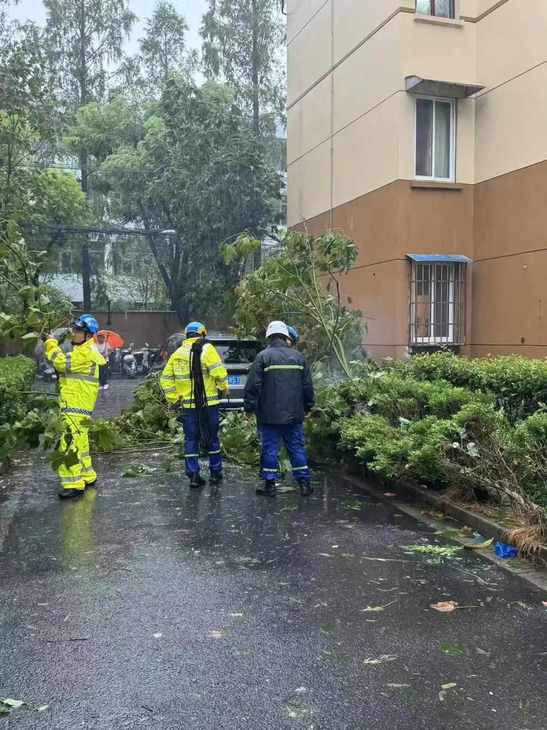 台风蓝色预警解除！地铁全线恢复运营！外卖点餐也能配送了......风雨中，他们“汛”速出击→-金年会(图8)