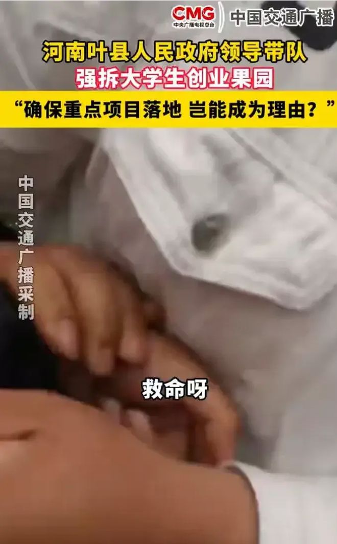 河南叶县强拆果园的副县长火了！强拆是为了全县几十万老百姓？-金年会(图2)