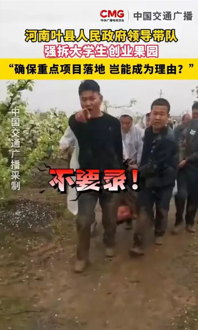 河南叶县强拆果园的副县长火了！强拆是为了全县几十万老百姓？-金年会(图3)