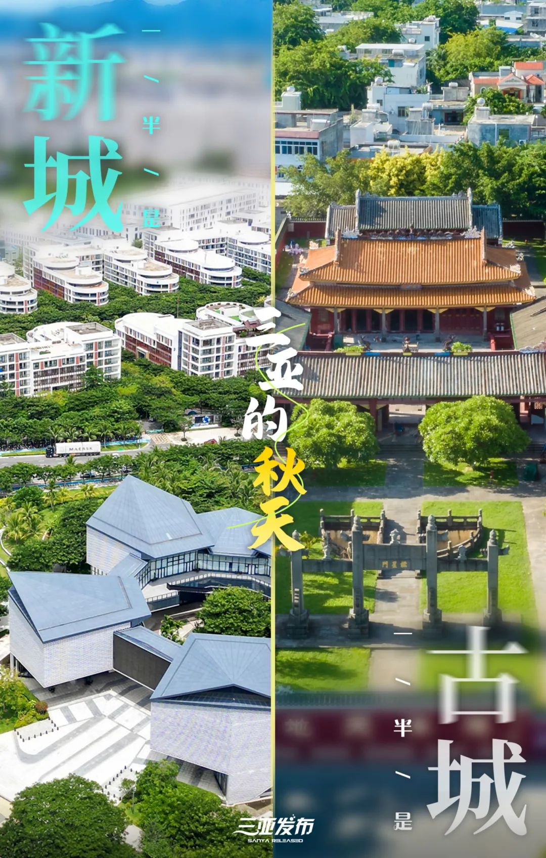 一半，一半-金年会(图5)