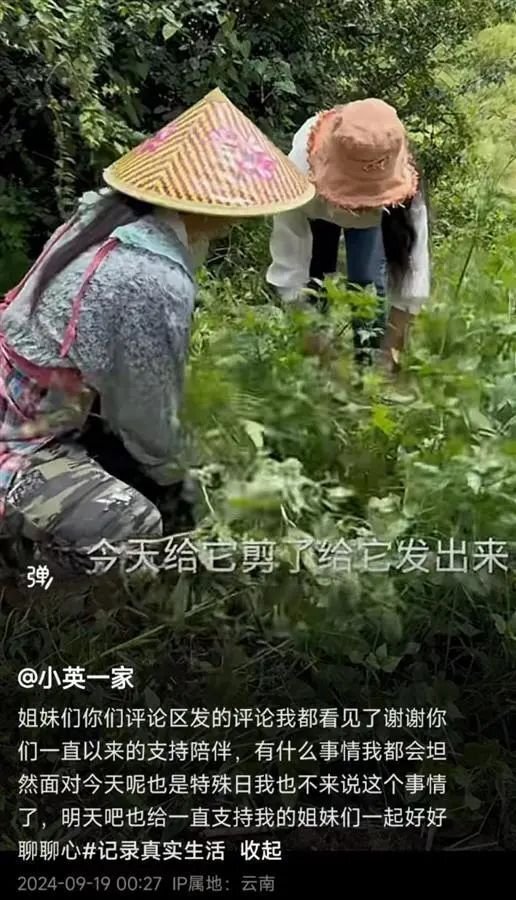 卖惨网红“小英一家”被曝曾送养两个女孩，名下4间公司，当地民政局回应-金年会(图2)