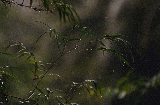 甘南9月17日天气预报:高温20℃~低温8℃，小雨转阴，会下雨-金年会(图1)