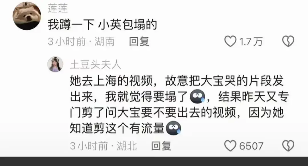 最近，网红小英的“穷人”形象遭到质疑，众多同村人爆料她的真实生活，引发网友热议。你绝对想不到她的背后故事！(图4)