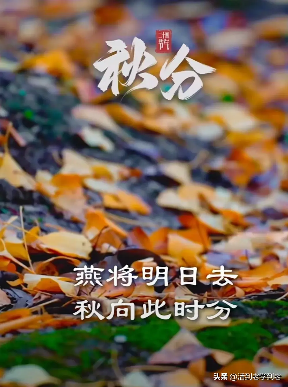 今天9月22号是个特殊日子，在今晚的20:43:27便是秋分节气了，秋分是二十四节气中的第十六个节气。(图4)